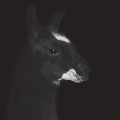 Rene Bourgeois - Graal EP