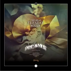 Real Tuesday Weld - Dreams