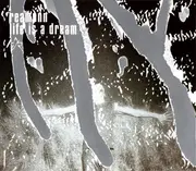 CD Single - Reamonn - Life Is A Dream