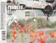 Reamonn - Star