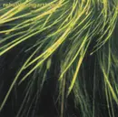 CD - rebuilthangartheory - Rival Of The Cold