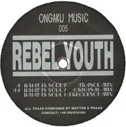 Rebel Youth - What Is Soul?