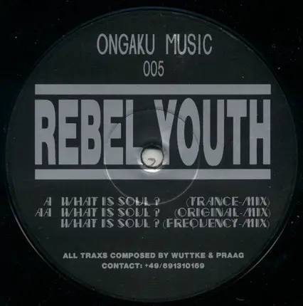 Rebel Youth - What Is Soul?