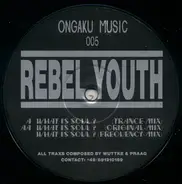 Rebel Youth - What Is Soul?