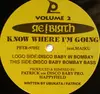 12inch Vinyl Single - Re!Birth - Know Where I'm Going Volume 2