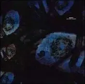 reboot - Beautiful Parasite