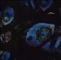 Reboot - Beautiful Parasite