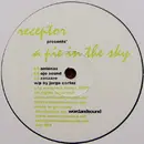 12'' - Receptor - A Pie In The Sky