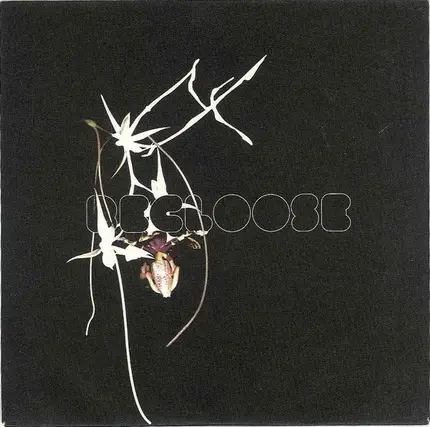 Recloose - Hiatus on the Horizon