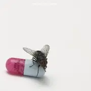 CD - Red Hot Chili Peppers - I'm With You