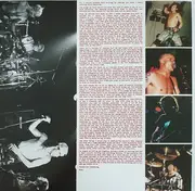 Double LP - Red Hot Chili Peppers - Greatest Hits