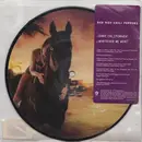 7inch Vinyl Single - Red Hot Chili Peppers - Dani California