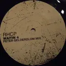 12inch Vinyl Single - Red Hot Chili Peppers - Waitin 4 (Peter Gelderblom Mix)