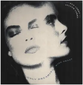 Red Lorry Yellow Lorry - Only Dreaming (Wide Awake)