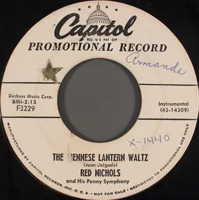 Red Nichols - The Viennese Lantern Waltz / While You're Away