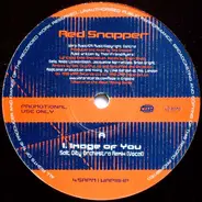Red Snapper - Image Of You
