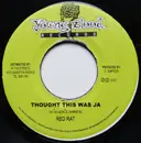 7inch Vinyl Single - Red Rat - Thought This Was JA