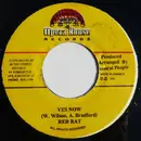 7inch Vinyl Single - Red Rat - Yes Now