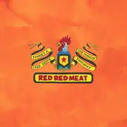 Double LP - Red Red Meat - There's A Star Above The Manger Tonight - Card-Inserts