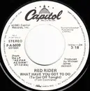 7inch Vinyl Single - Red Rider - What Have You Got To Do (To Get Off Tonight) - Promo