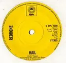 7inch Vinyl Single - Redbone - Hail