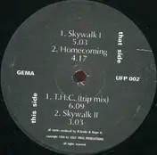 Red Ice - Skywalk