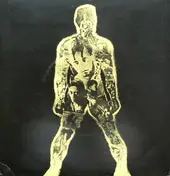 The Red Krayola - Born In Flames