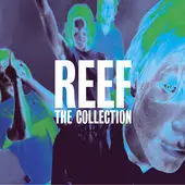 Reef - The Collection
