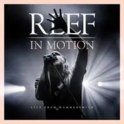 Reef - In Motion