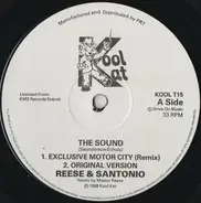 Reese & Santonio - The Sound / How To Play Our Music / Groovin Without A Doubt