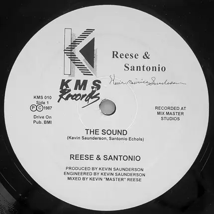 Reese & Santonio - The Sound / How To Play Our Music