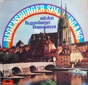 REGENSBURGER DOMSPATZEN - Regensburger Spaziergang