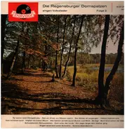 Regensburger Domspatzen - Die Regensburger Domspatzen Singen Volkslieder Folge 2