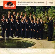 LP - Regensburger Domspatzen - Die Regensburger Domspatzen Singen Volkslieder