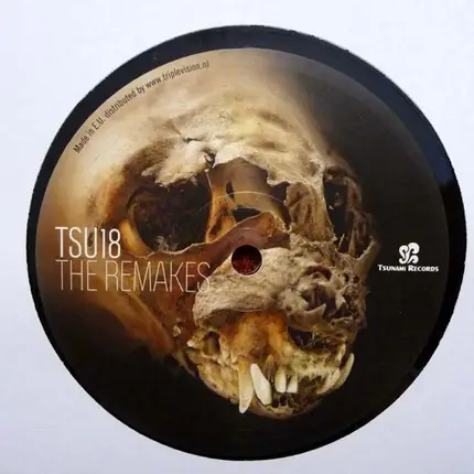 Regis / Christian Wünsch - Time Wave Zero - The Remakes