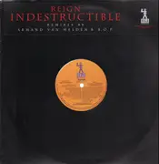 12inch Vinyl Single - Reign - Indestructible (The Remixes)
