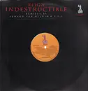 12inch Vinyl Single - Reign - Indestructible (The Remixes)