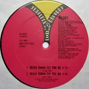 Reimy - Never Gonna Let You Go