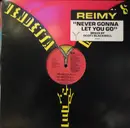 12inch Vinyl Single - Reimy - Never Gonna Let You Go