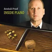 Reinhold Friedl - Inside Piano