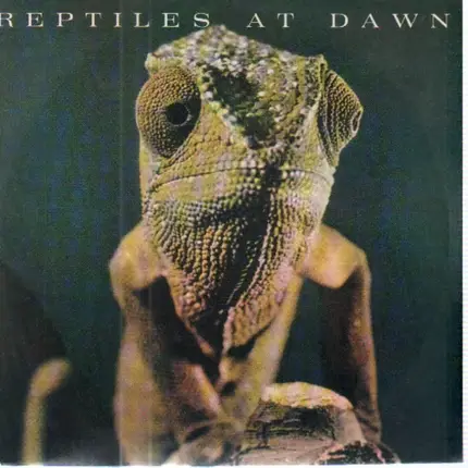 Reptiles At Dawn - Zenith / Borderline Ring