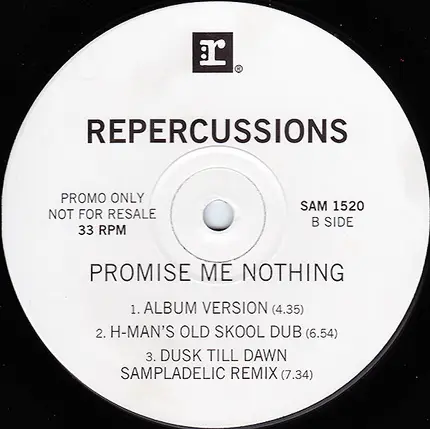 Repercussions - Promise Me Nothing