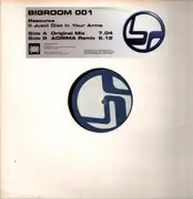 12inch Vinyl Single - Resource - (I Just) Died In Your Arms