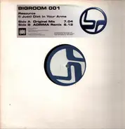 Resource - (I Just) Died in Your Arms