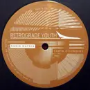 12inch Vinyl Single - Retrograde Youth - Earth Disorders Part 1 - EP