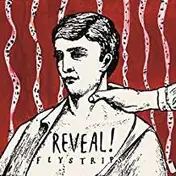 Reveal - Flystrips