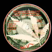 LP - Revolutionary Dub Warriors - State Of Evolution