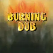 The Revolutionaries - Burning Dub
