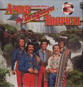 Reynaldo Meza y los Paraguayos - Amor Tropical