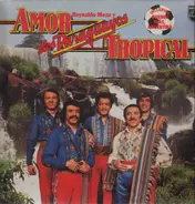 Reynaldo Meza Y Los Paraguayos - Amor Tropical